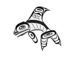 Haida killer whale orca tribal tattoo flash