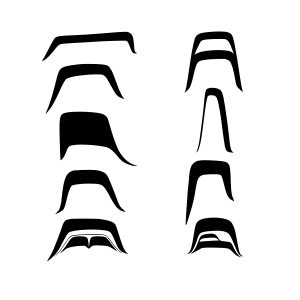 Haida art U-form contour element layout