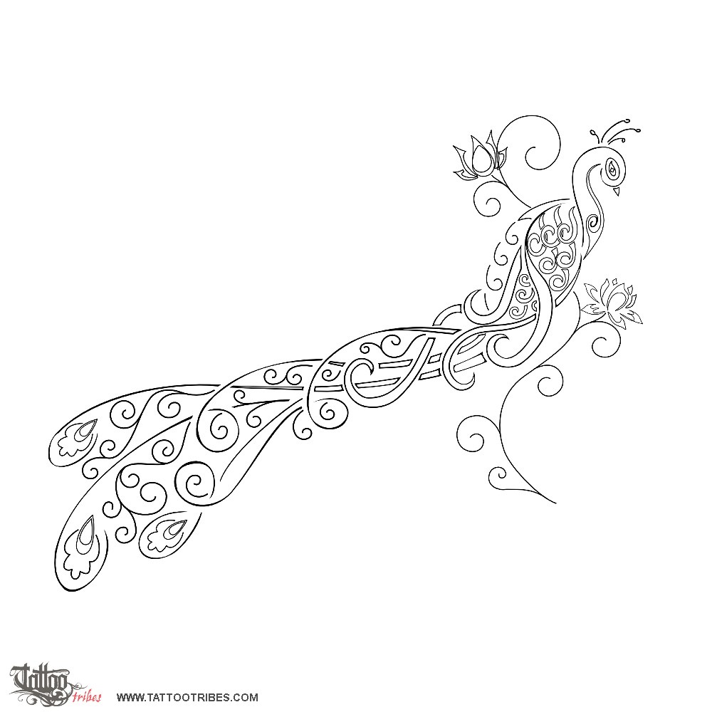 Stencil outline of Peacock and lotus flowers, Beauty, rebirth downloadable hi-res tattoo stencil
