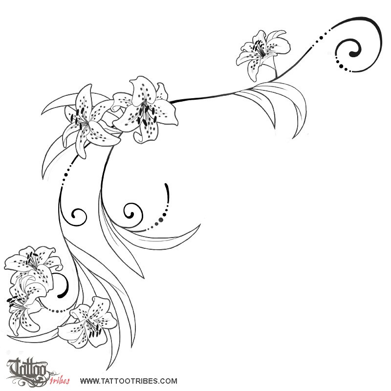 Stencil outline of Tiger lilies, Wealth, pride downloadable hi-res tattoo stencil