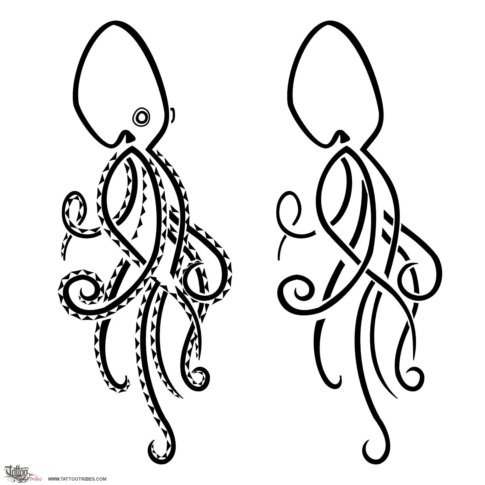 Octopus