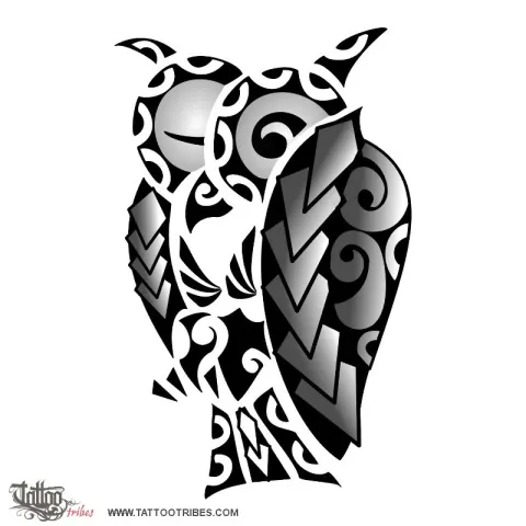 Owl