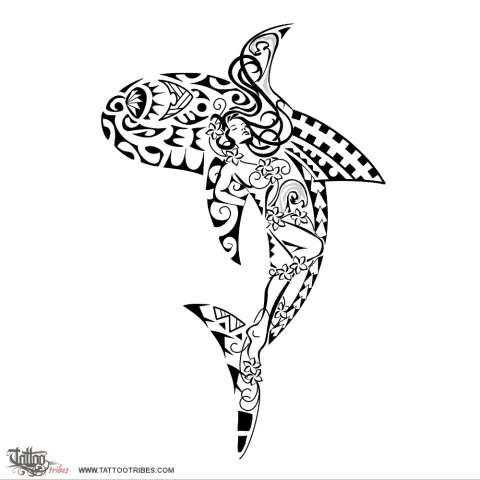 Composite shark