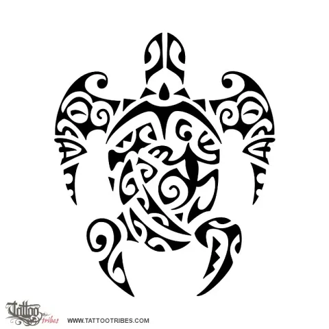 Turtle