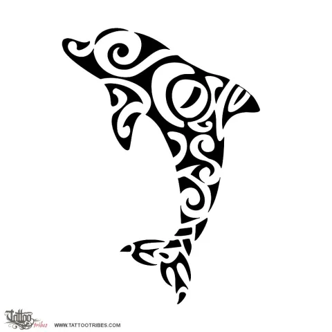J+S dolphin