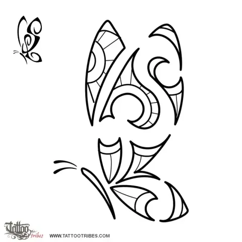 S+L butterfly
