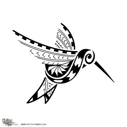 Samoan hummingbird