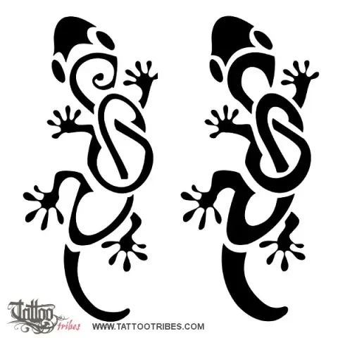 S+S gecko