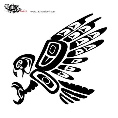 Haida Eagle