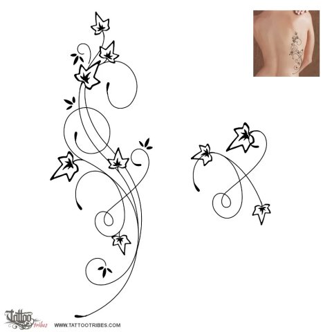 Ivy branches (Faithful love) tattoo design thumbnail