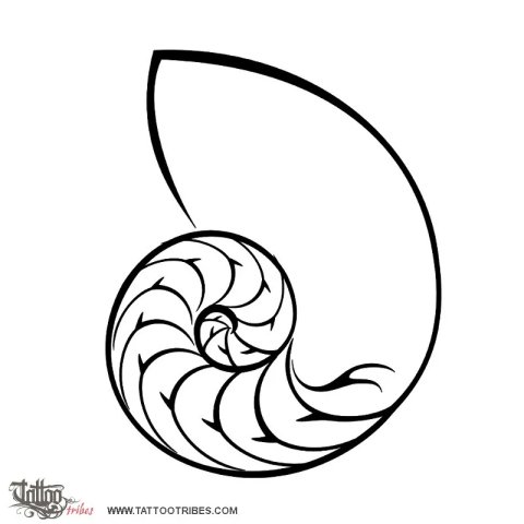Nautilus (Golden ratio) tattoo design thumbnail