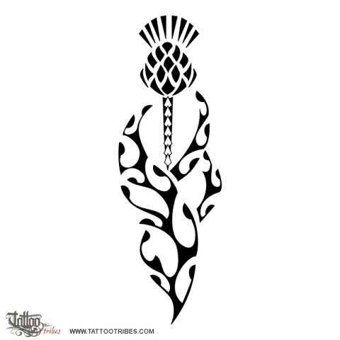 Thistle (Scotland, protection) tattoo design thumbnail
