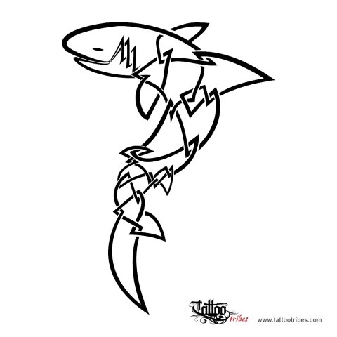 Celtic shark (Roots) tattoo design thumbnail