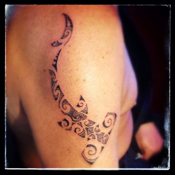 Real community tattoo placement: Evilzone - Maori hammerhead: inked placement tattoo photo