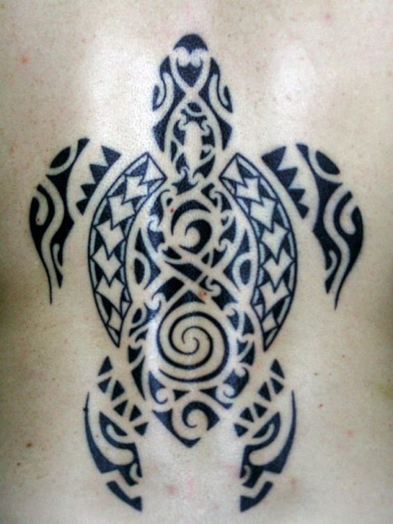 Real community tattoo placement: Guest - hui turtle: inked placement tattoo photo