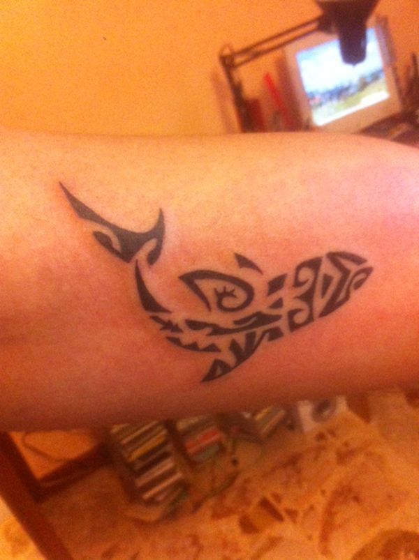 Real community tattoo placement: Lorenzo - Shark: inked placement tattoo photo