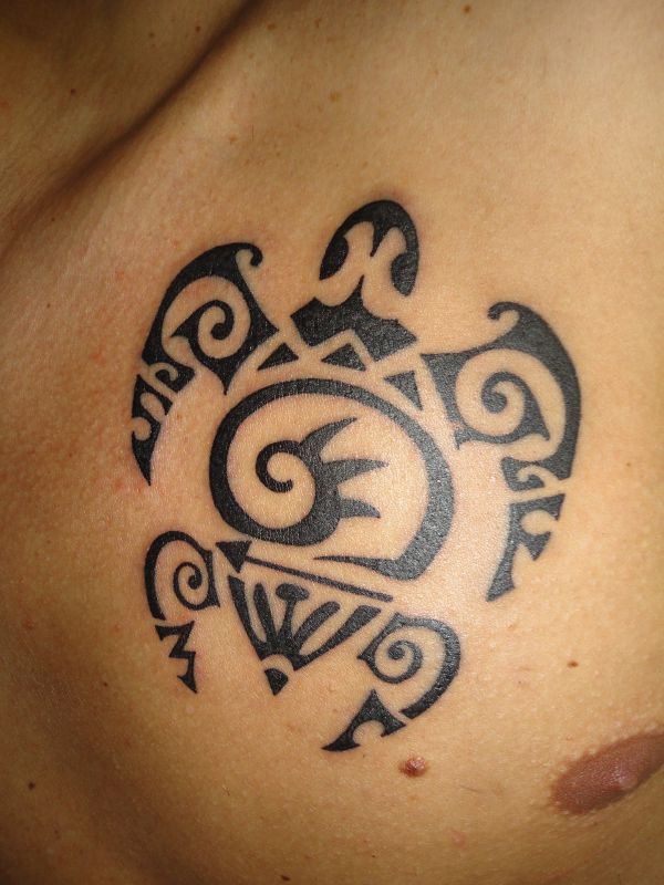 Real community tattoo placement: Stefano - FAMS turtle: inked placement tattoo photo