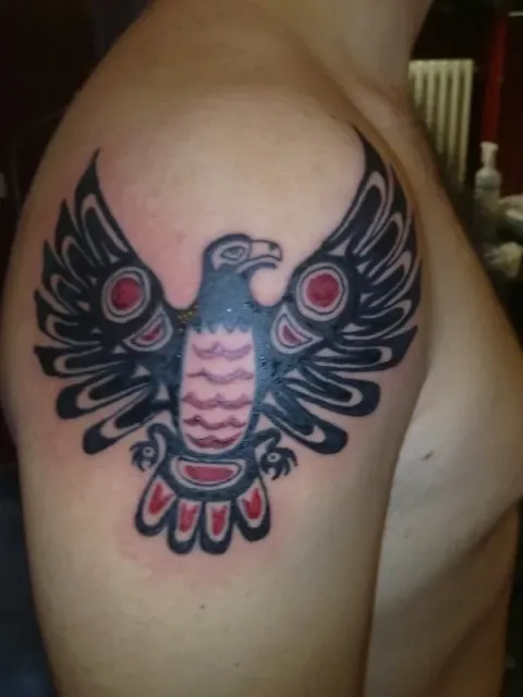 Evilzone - Haida eagle