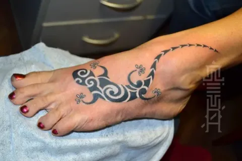 Luba - gecko