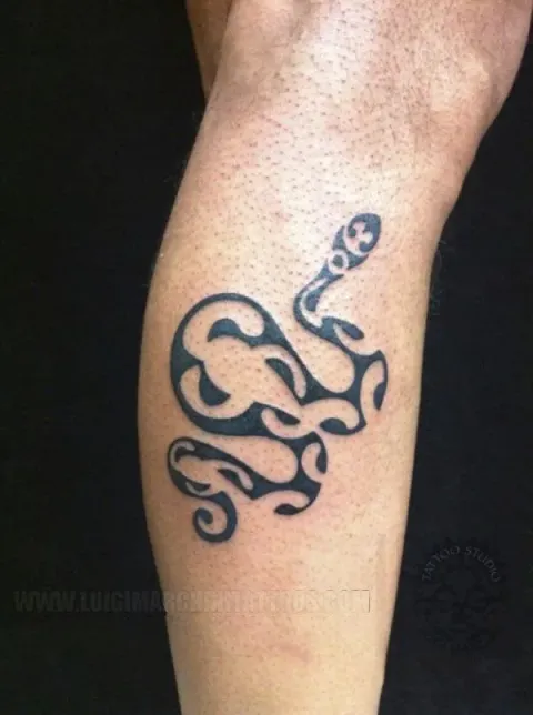 Marchini - Snake