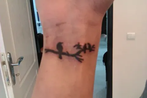 Sara - birds