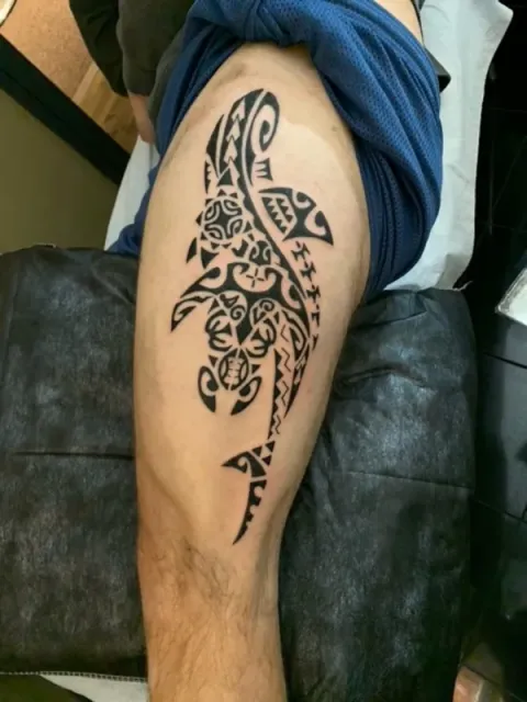 Scott - Kaiwawao