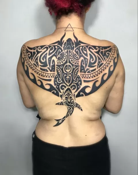 Guest - back manta