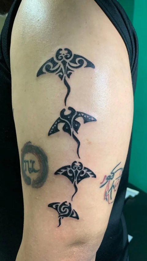 Ahmad - small mantas: real inked placement tattoo photo thumbnail