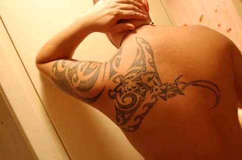 Aleksandr - Manta: real inked placement tattoo photo thumbnail