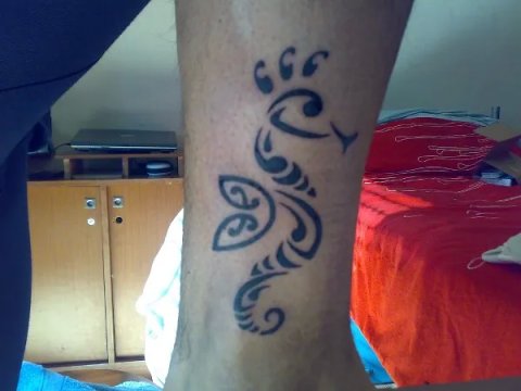 Alessandro - Seahorse: real inked placement tattoo photo thumbnail