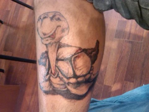 Alessandro - Turtle: real inked placement tattoo photo thumbnail