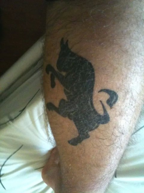 Alessandro - Bull: real inked placement tattoo photo thumbnail