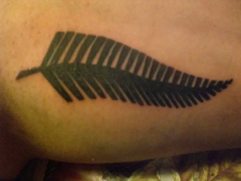 Alessandro - Silver fern: real inked placement tattoo photo thumbnail