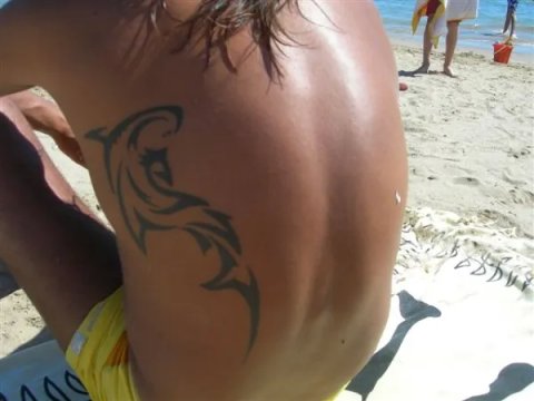 Alfonso - shark: real inked placement tattoo photo thumbnail