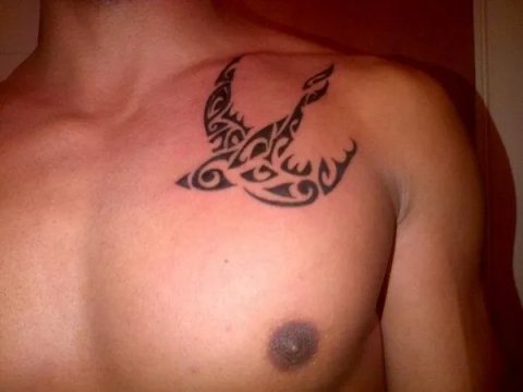 Alfonzo - Polynesian swallow: real inked placement tattoo photo thumbnail