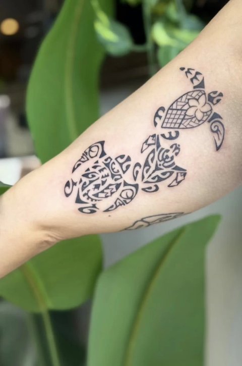 Alyssa - Three turtles: inked placement tattoo photo thumbnail