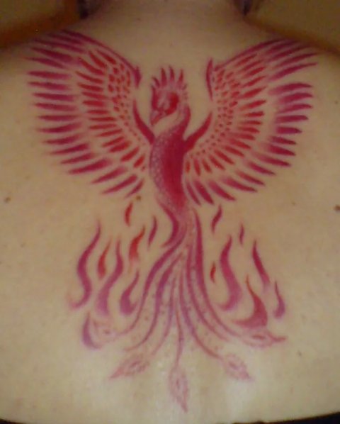 Ana - Phoenix: real inked placement tattoo photo thumbnail