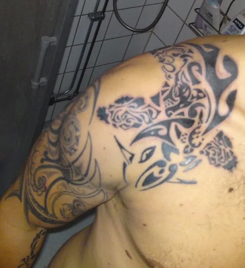 Anders - Maori koi: real inked placement tattoo photo thumbnail