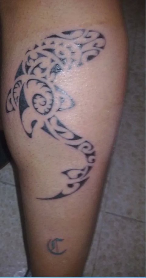 Andrea - Shark: real inked placement tattoo photo thumbnail