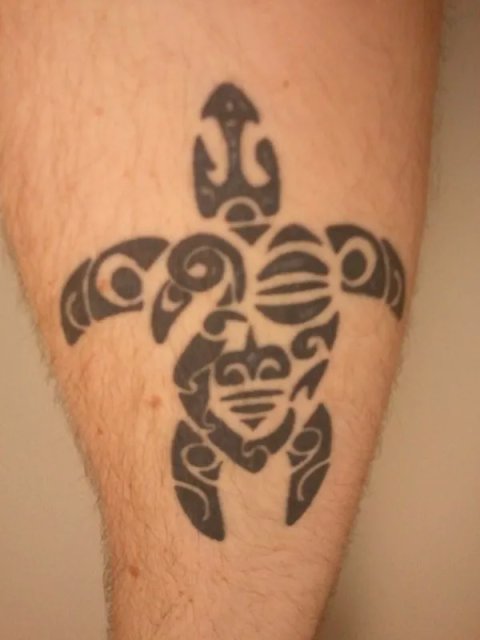 Andy - Whakakotahitanga: real inked placement tattoo photo thumbnail