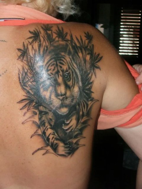 Ania - Tiger: real inked placement tattoo photo thumbnail