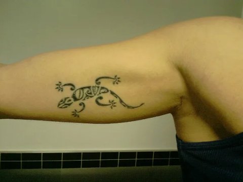 Anna - Geco portafortuna: real inked placement tattoo photo thumbnail