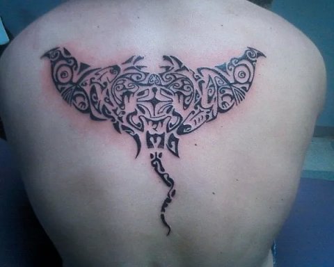 Anthony - Whakangungu: real inked placement tattoo photo thumbnail