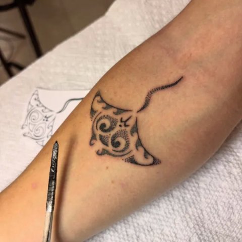 Armand - manta: real inked placement tattoo photo thumbnail