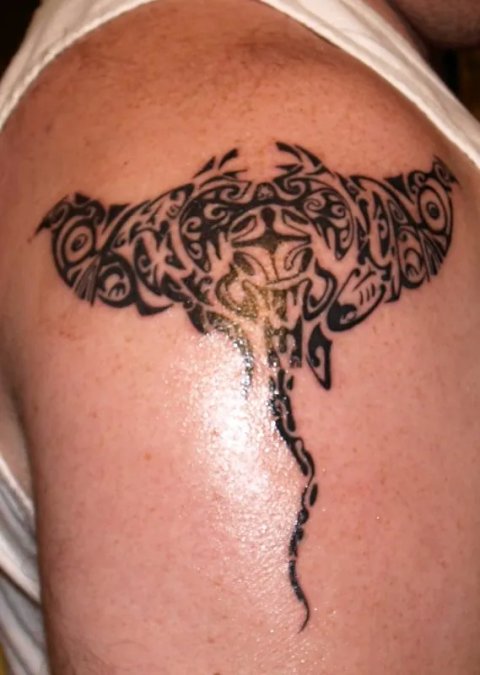 Brian - Whakangungu: real inked placement tattoo photo thumbnail