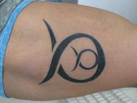 Carlo - Big & Baby Taurus: real inked placement tattoo photo thumbnail