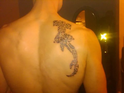 Charles - Hiringa: real inked placement tattoo photo thumbnail