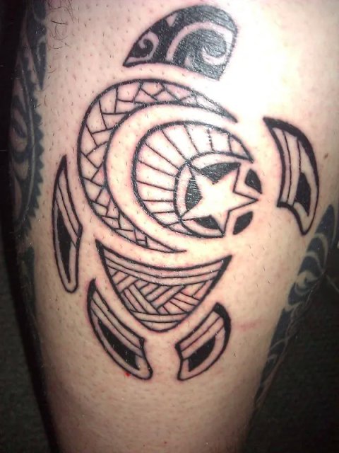 Chris - Turtle: real inked placement tattoo photo thumbnail