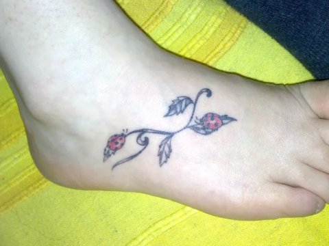 Colomba - ladybugs: real inked placement tattoo photo thumbnail