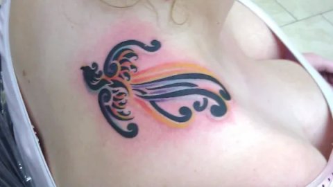 Dakota - Small phoenix: real inked placement tattoo photo thumbnail